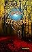 Witchbone Book Three: The B...