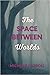 The Space Between Worlds