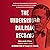 The Underground Railroad Records: Narrating the Hardships, Hairbreadth Escapes, and Death Struggles of Slaves in Their Efforts for Freedom