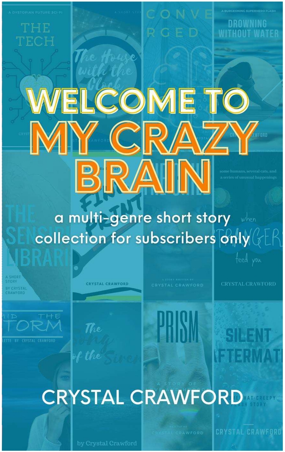 Welcome To My Crazy Brain (Unknown Binding)