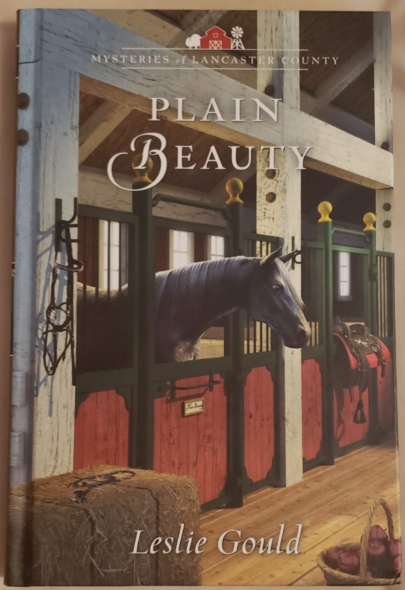 Plain Beauty (Mysteries of Lancaster County, #6)