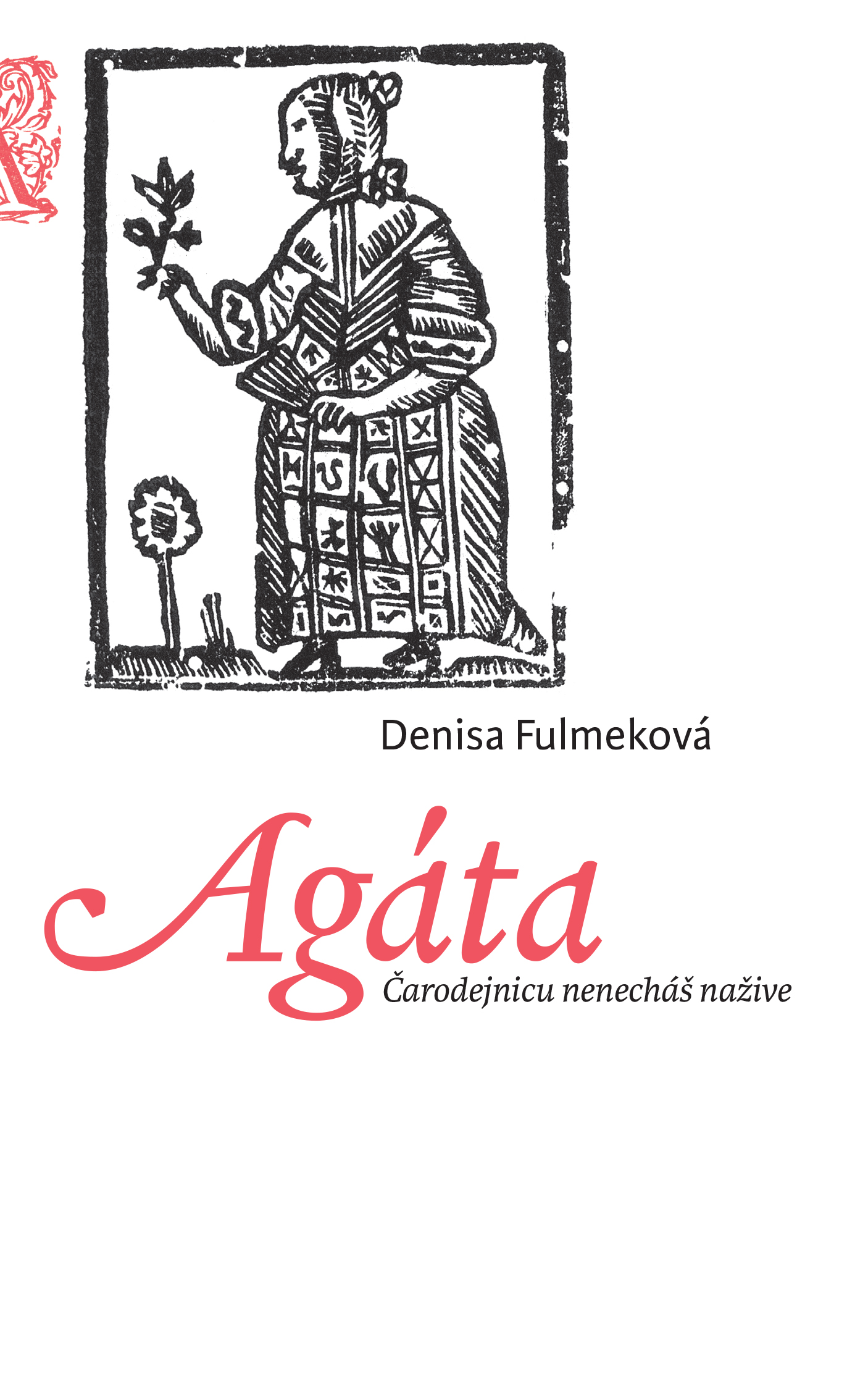 Agáta (Hardcover)