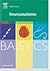 BASICS Neuroanatomie