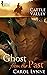 Ghost from the Past (Cattle Valley Book 22)