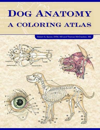 Dog Anatomy: A Coloring Atlas by Robert Kainer, Teton NewMedia