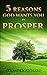 5 Reasons God Wants You to Prosper: The Believer's Pathway to a Biblical Mindset of Wealth, Prosperity, and Abundance - Accessing Heaven's Riches Soundly and Biblically