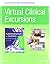 Virtual Clinical Excursions...