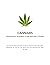 Cannabis Dispensary Busines...
