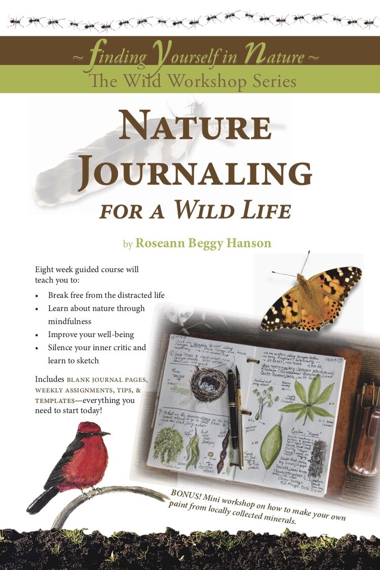 Nature journaling for a wild life (Spiral-bound)