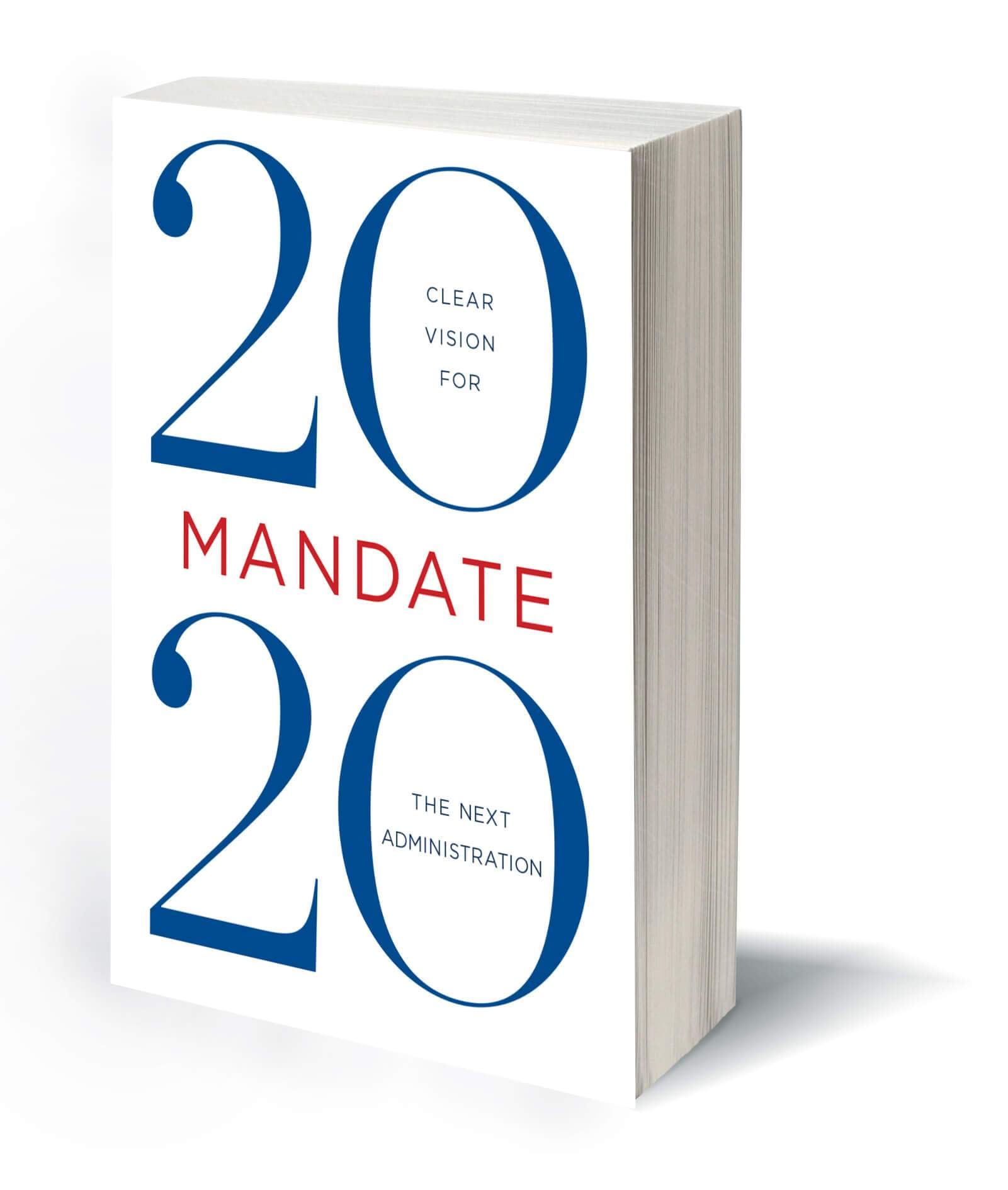 Mandate 2020 (Hardcover)