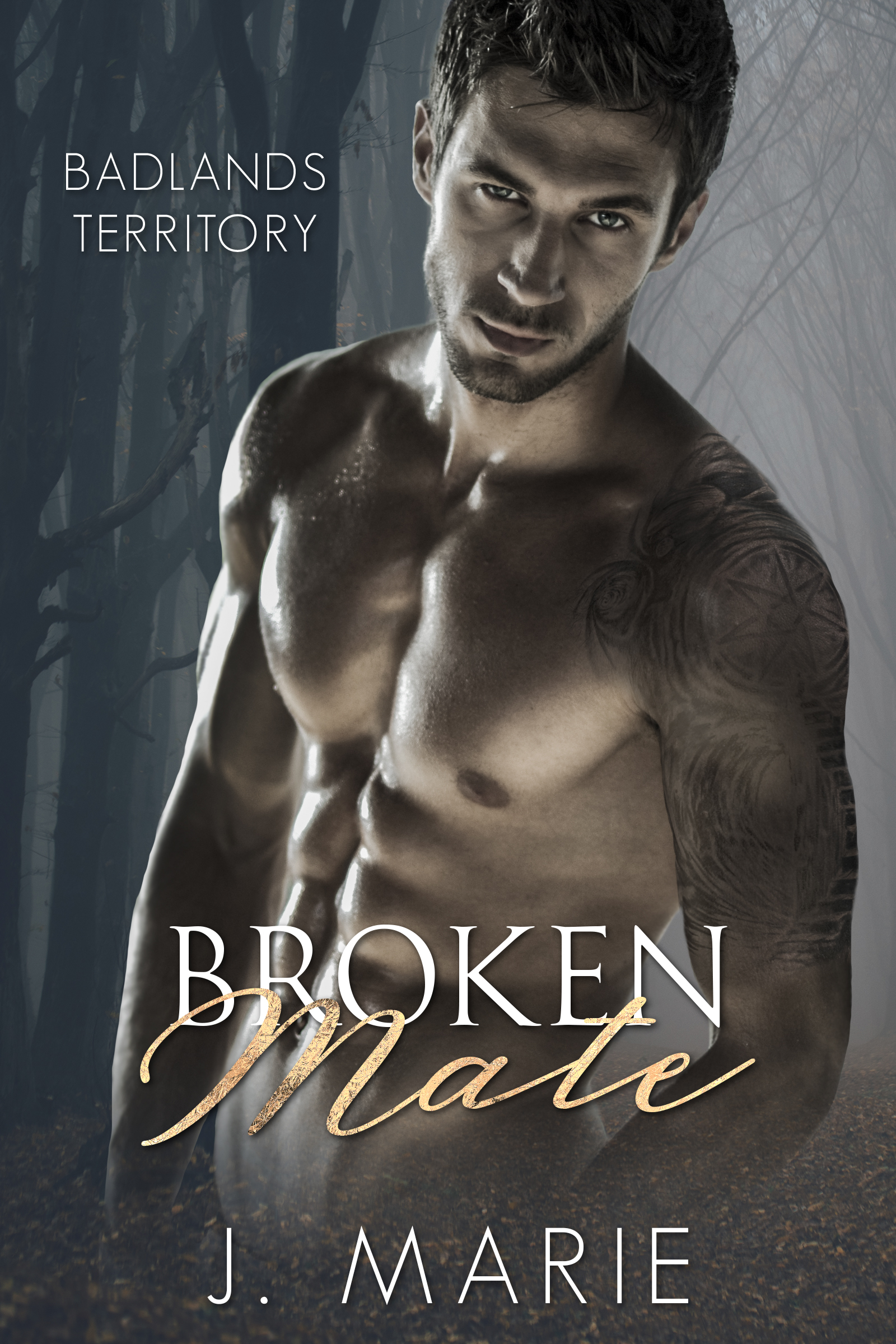 Broken Mate (Eternals, #1.5; Badlands Territory, #8)