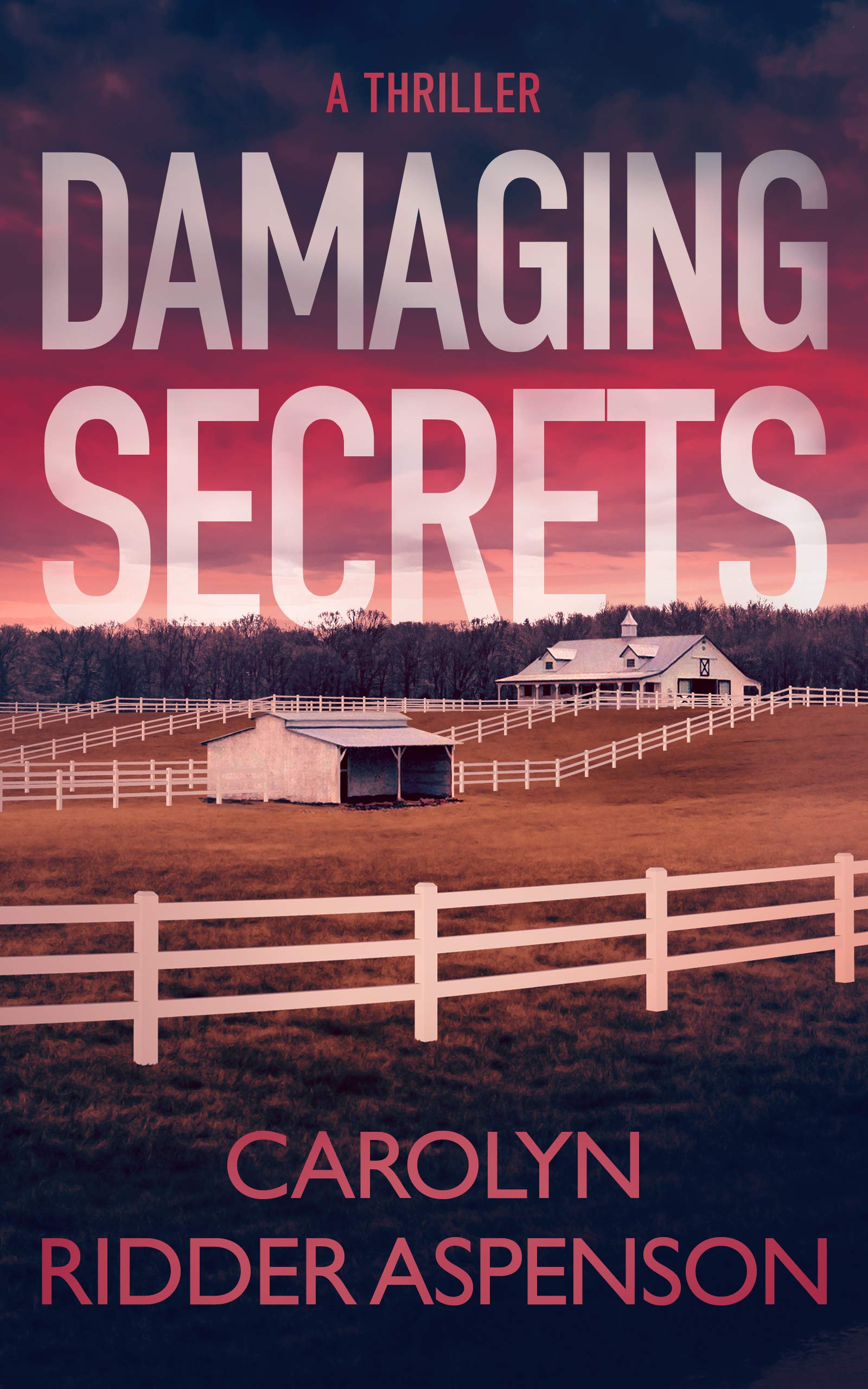 Damaging Secrets (Rachel Ryder, #1)