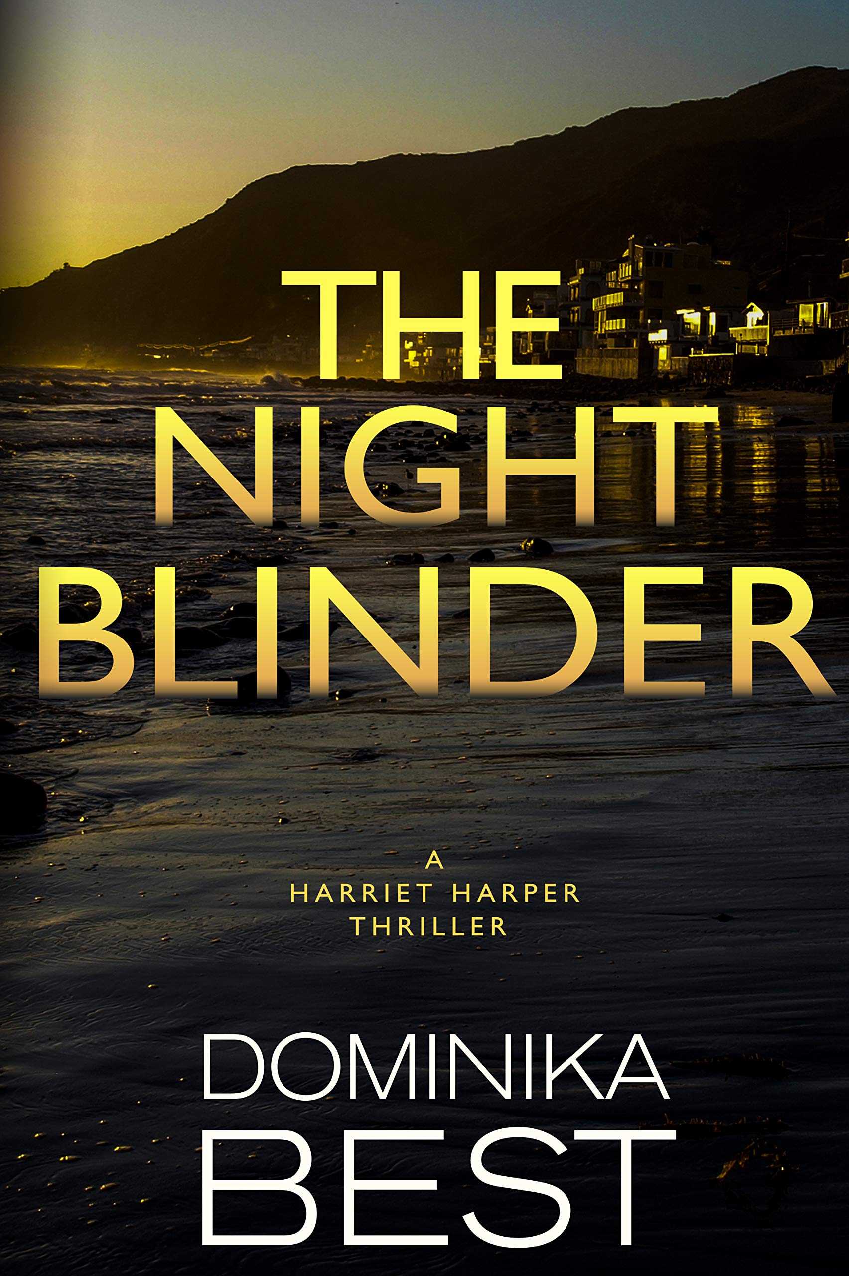 The Night Blinder (Harriet Harper, #4)