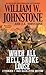 When All Hell Broke Loose by William W. Johnstone