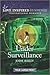 Under Surveillance (Love Inspired Suspense)
