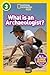 What is an Archaeologist? (...