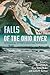 Falls of the Ohio River by David Pollack