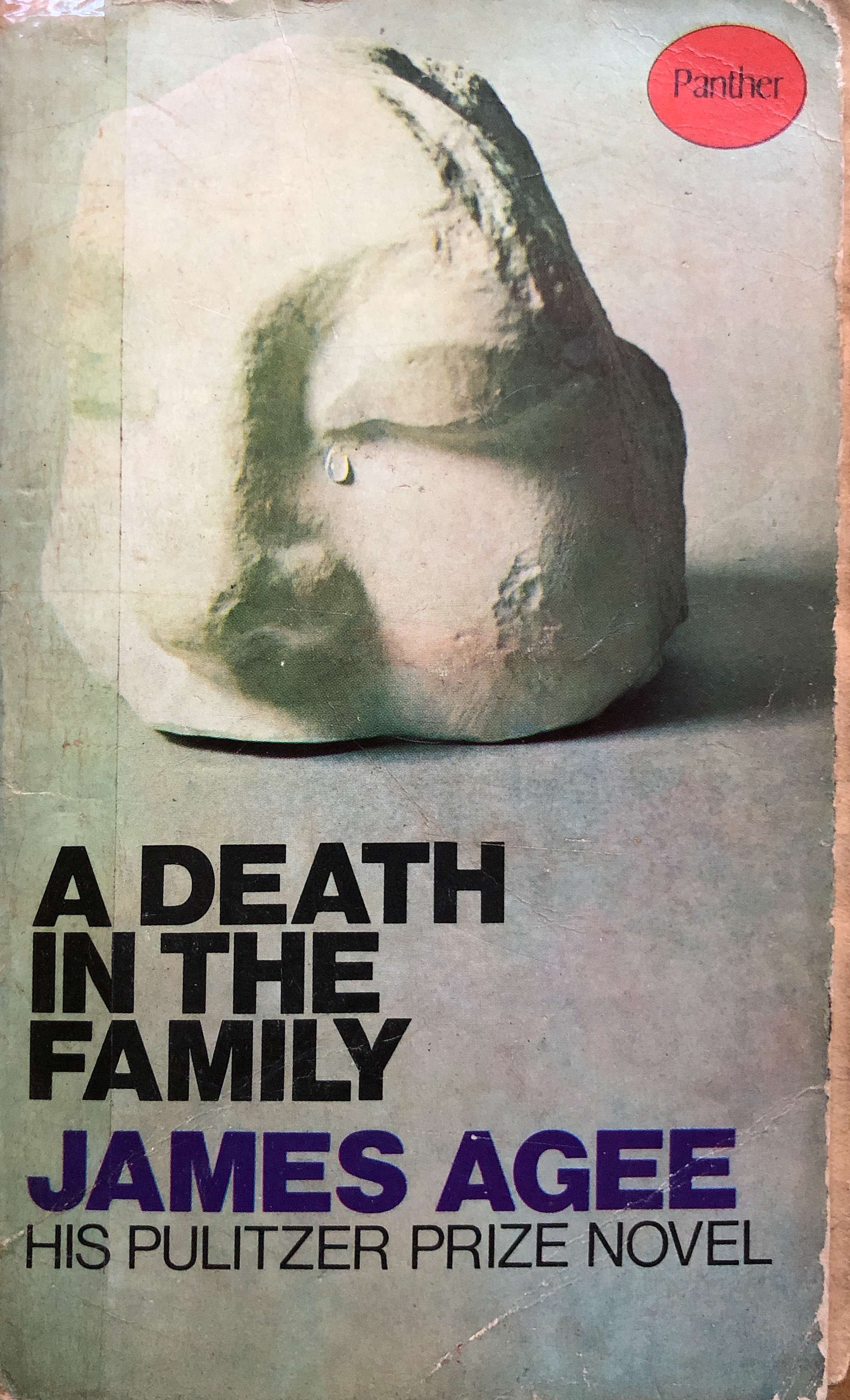A Death in the Family