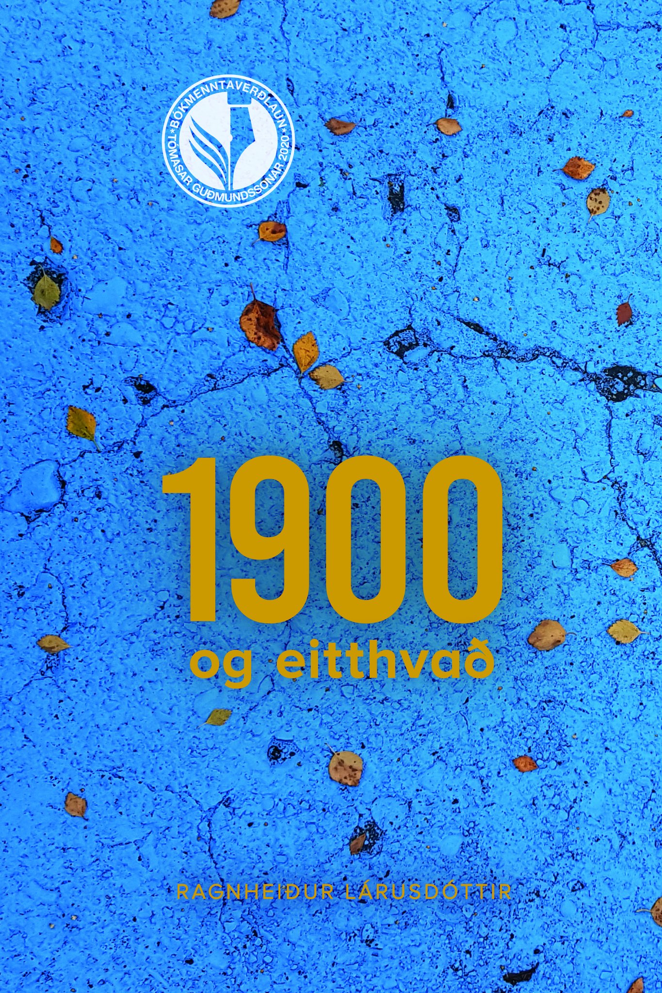 1900 og eitthvað (Paperback)