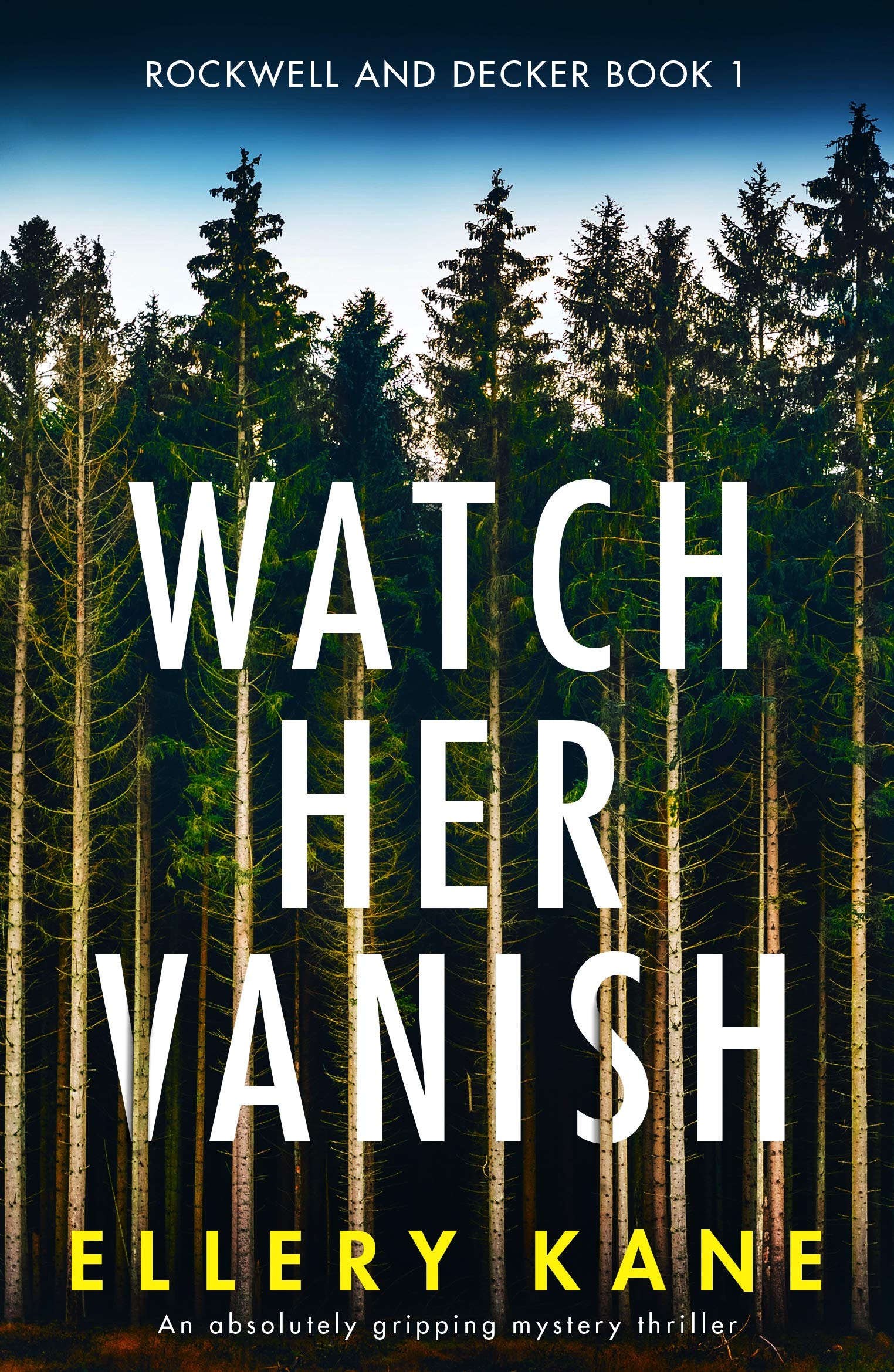 Watch Her Vanish (Rockwell and Decker, #1)