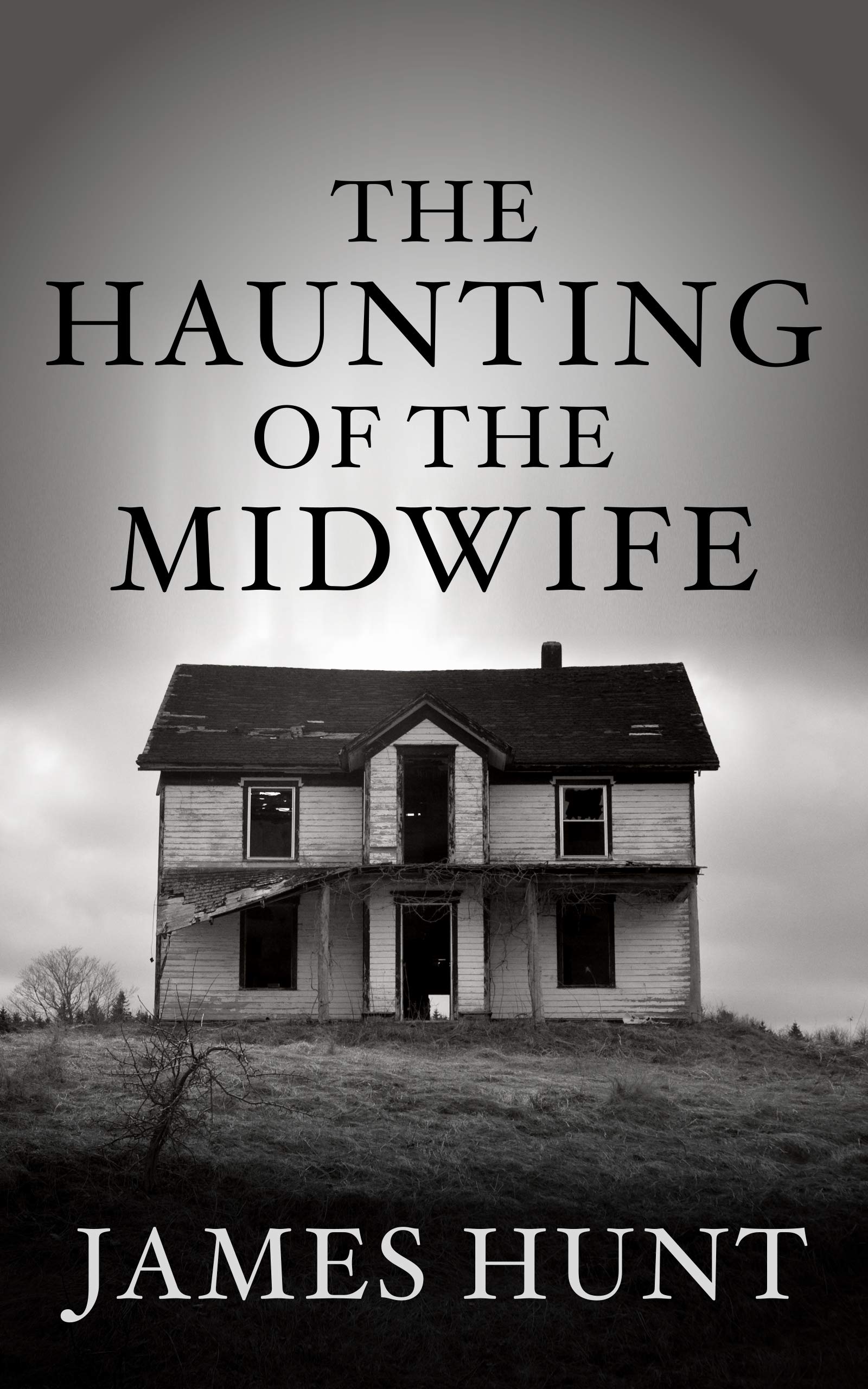 The Haunting of the Midwife (Lindsy and Mike Foster, #1)
