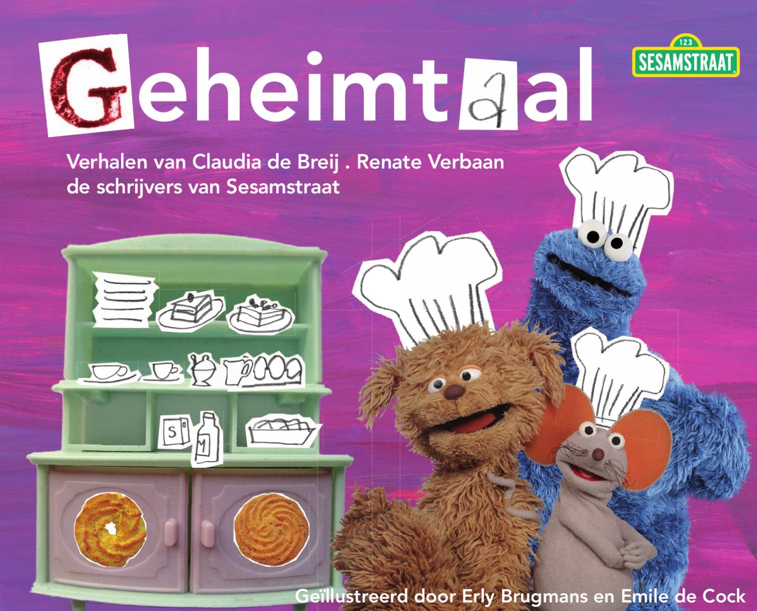 geheimtaal (Hardcover)