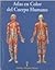 Atlas En Color Del Cuerpo Humano (Spanish Edition)