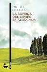 La sombra del cip...