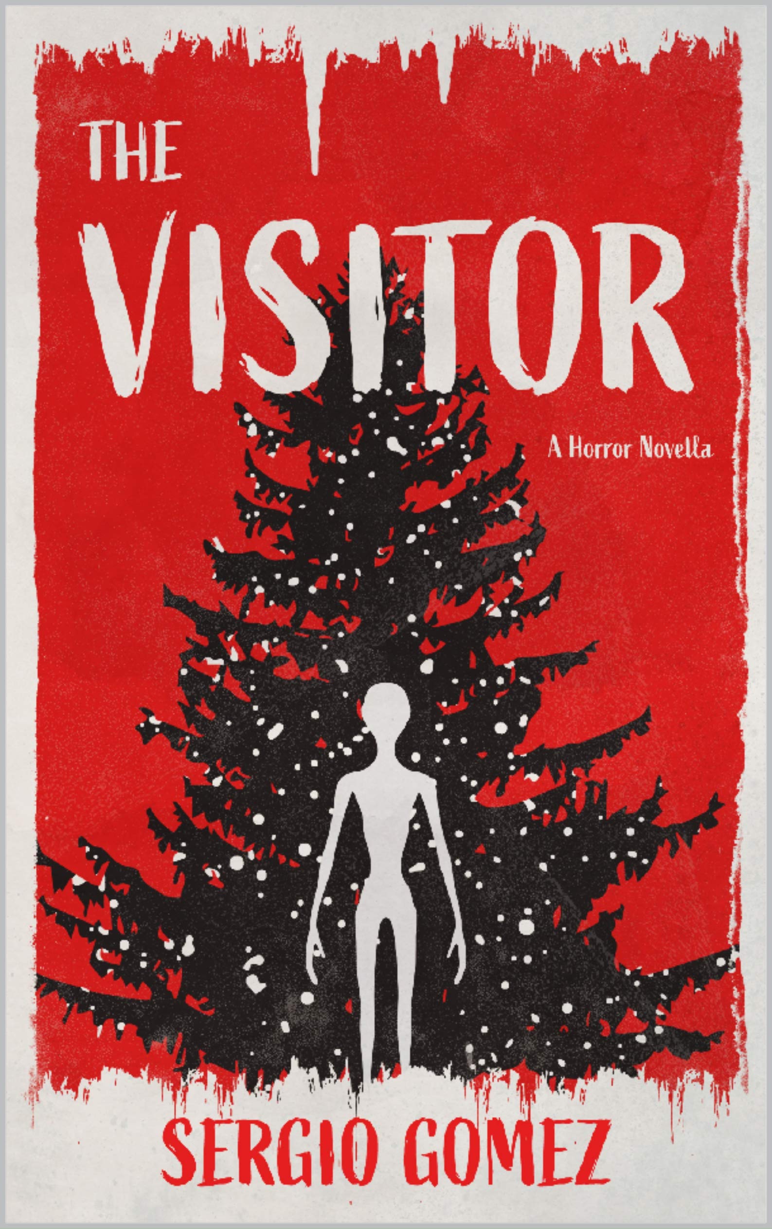 The Visitor (Kindle Edition)
