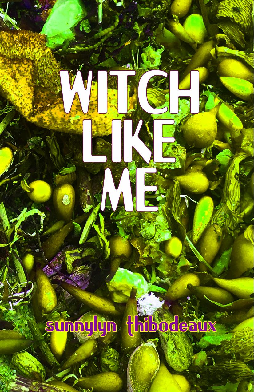 Witch Like Me (ebook)