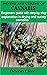 Drying and curing of cannabis by devon clive