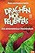 Der geheimnisvolle Drachenj...