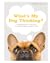What's My Dog Thinking? by Hannah Molloy BSc Animal Be... What's My Dog Thinking? by Hannah Molloy BSc Animal Be...