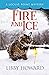 Fire and Ice (Locust Point Mystery, #10)