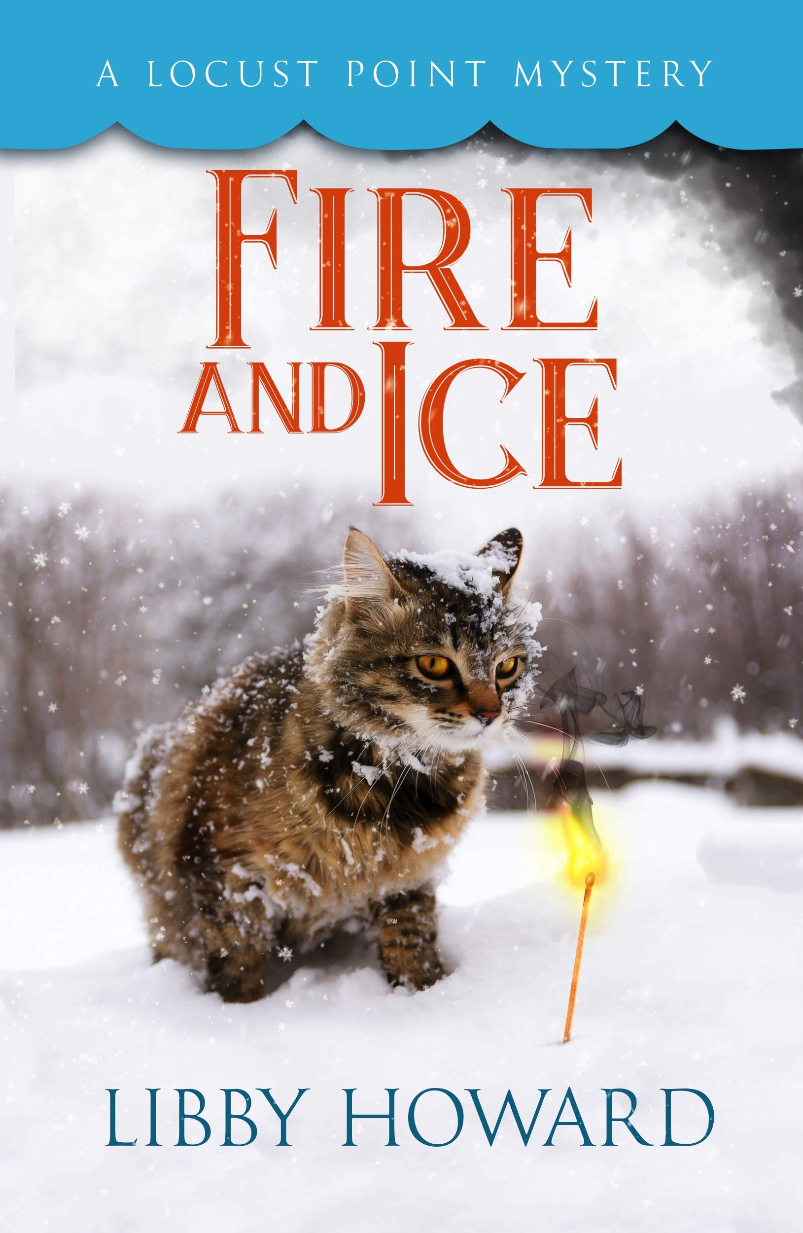 Fire and Ice (Locust Point Mystery, #10)