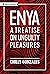 Enya: A Treatise on Unguilt...