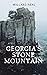 Georgia's Stone Mountain