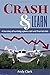 Crash & Learn: A True Story of Surviving a Plane Crash and Financial Crisis