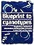 Blueprint to cyanotypes - Exploring a historical alternative photographic process
