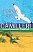 Forma apei (Comisarul Montalbano, #1)