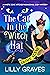 The Cat in the Witch Hat (A...