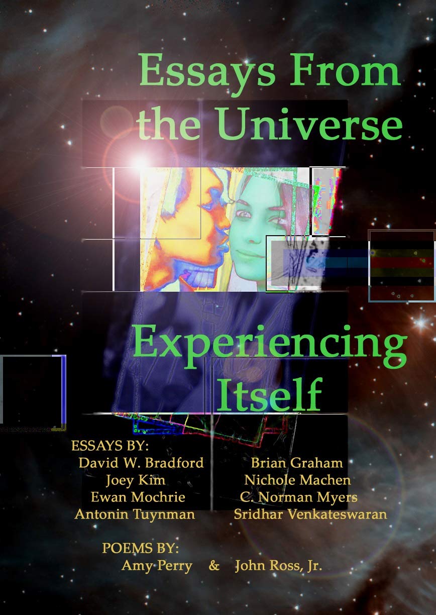 Essays From the Universe Experiencing Itself (Kindle Edition)