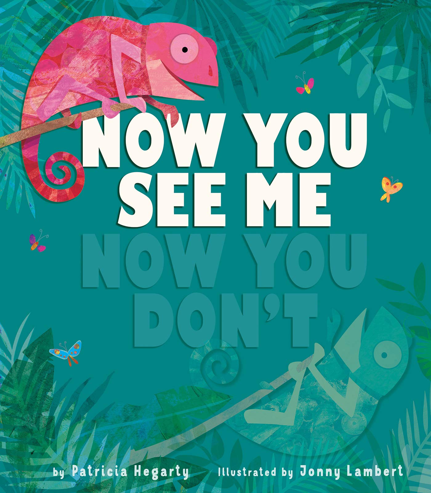 Now You See Me, Now You Don't (Hardcover)