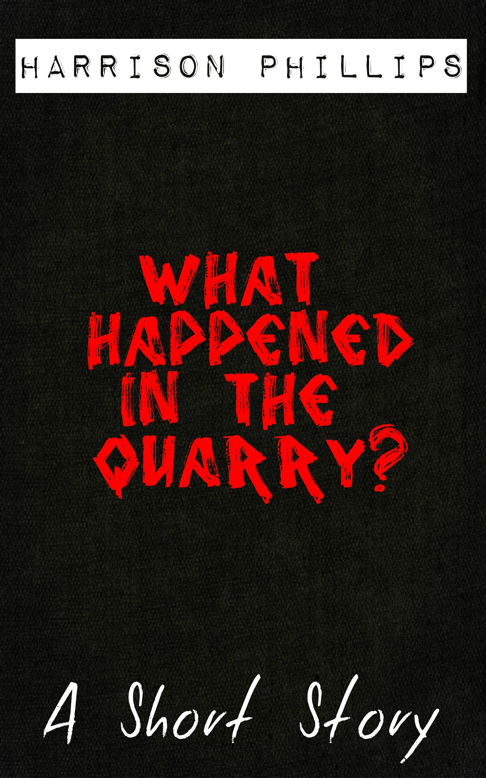 What Happened In The Quarry? (Kindle Edition)