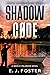 Shadow Code: A Brock Finlan...