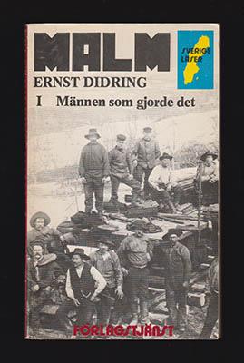 Männen som gjorde det (Malm, #1)
