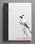 Bird People by Marie-Alice Harel Bird People by Marie-Alice Harel