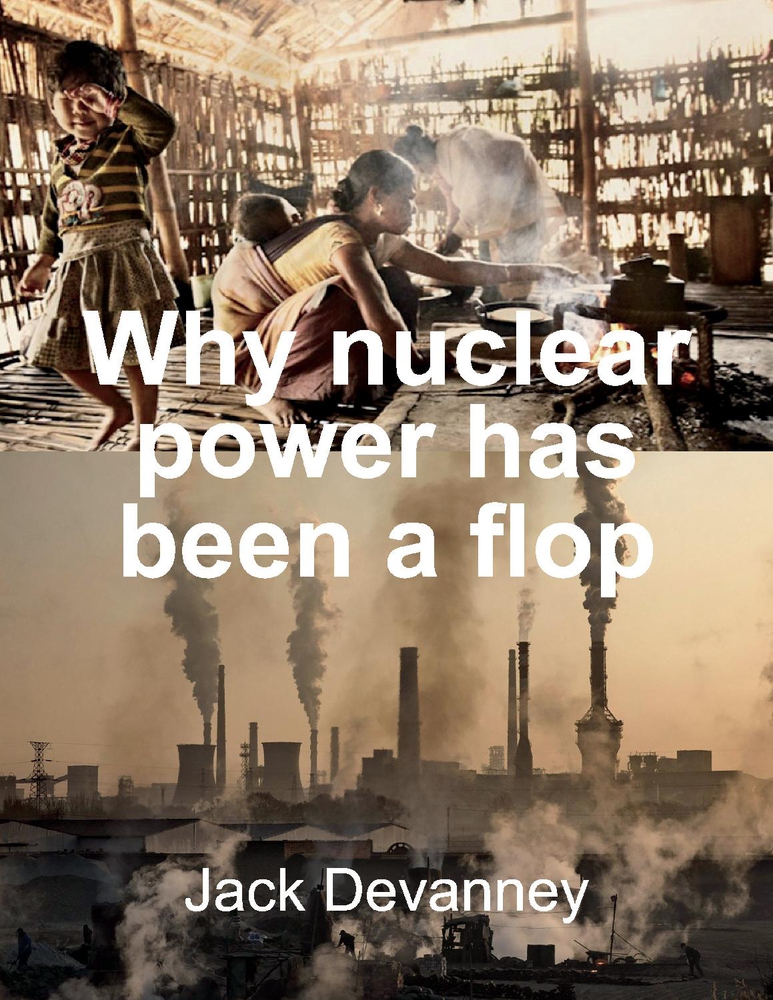 Why Nuclear Power Has Been a Flop: at Solving the Gordian Knot of Electricity Poverty and Global Warming (Paperback)