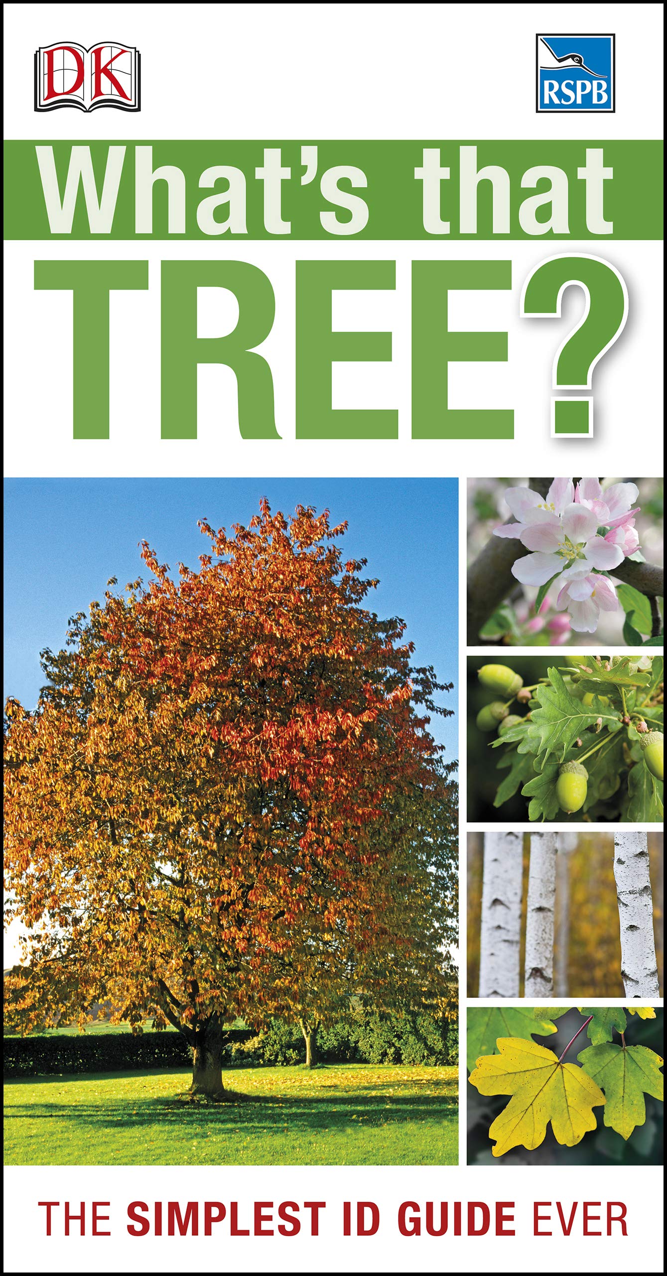 What's that Tree?: The Simplest ID Guide Ever (DK What's That?)