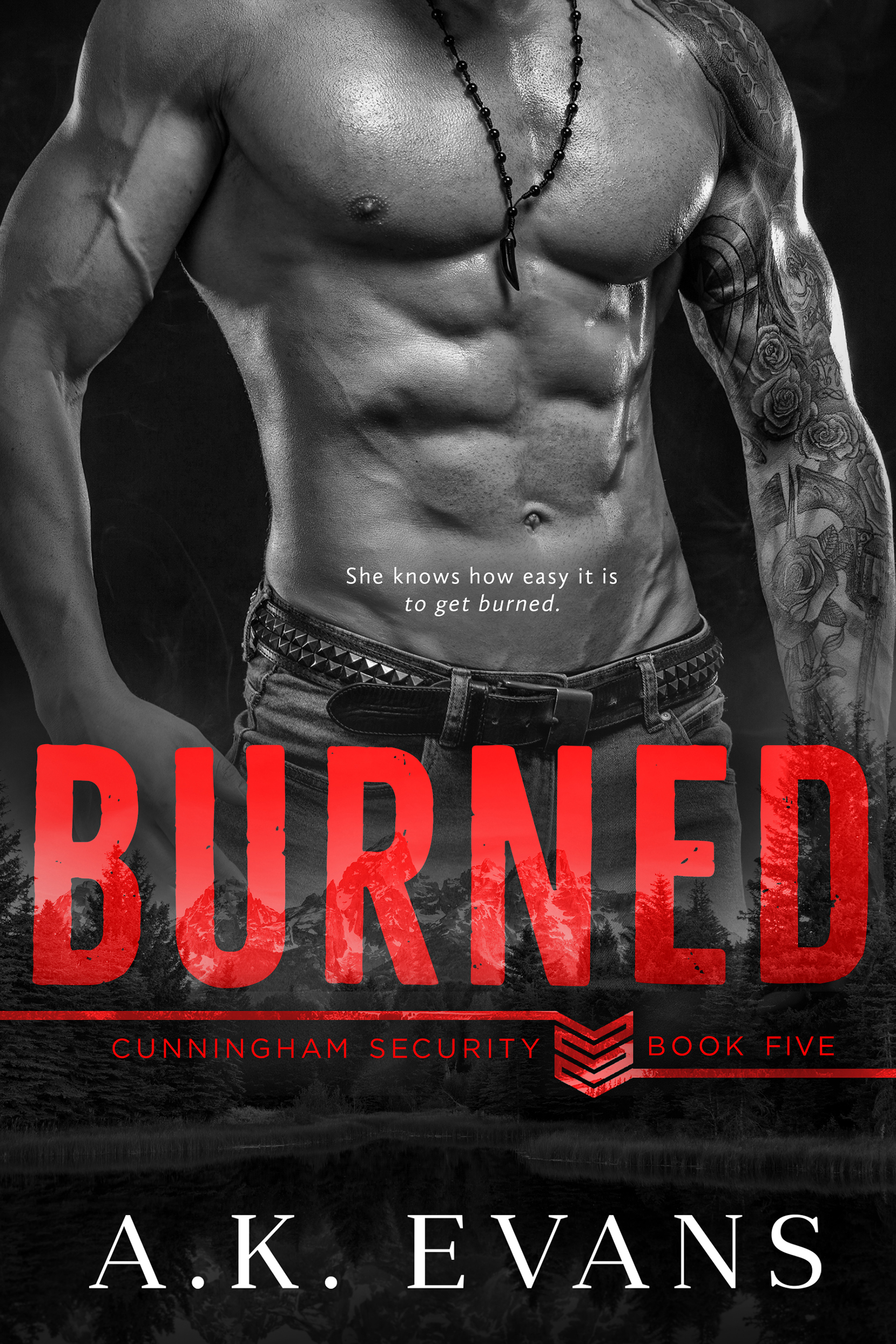 Burned (Cunningham Security, #5)